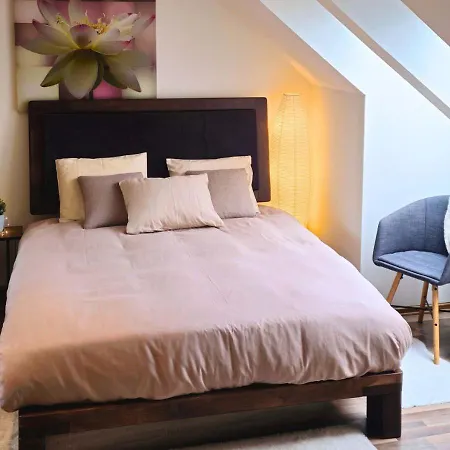 Cozy Little Penthouse Free Parking, Self Check In * Talin